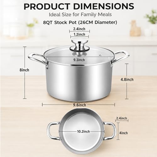 8 Quart Stock Pot