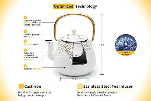 Japanese Cast Iron Tea Kettle with Infuser