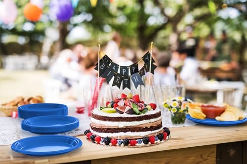 Sturdy Dark Blue Plastic Plates 10" Party Plates 100 Pcs (100 Count)