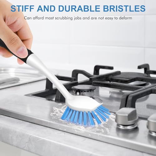 Dish Brush with Handle (2 Count)