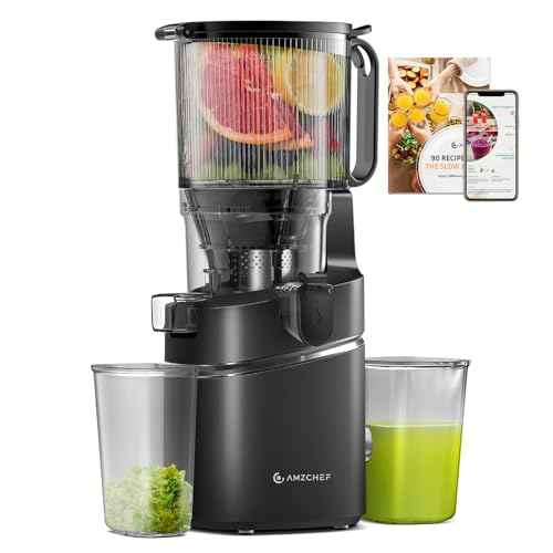 Cold Press Juicer