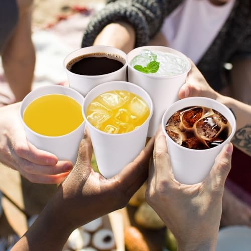 100 Pack 12 oz Paper Cups (100 Count)