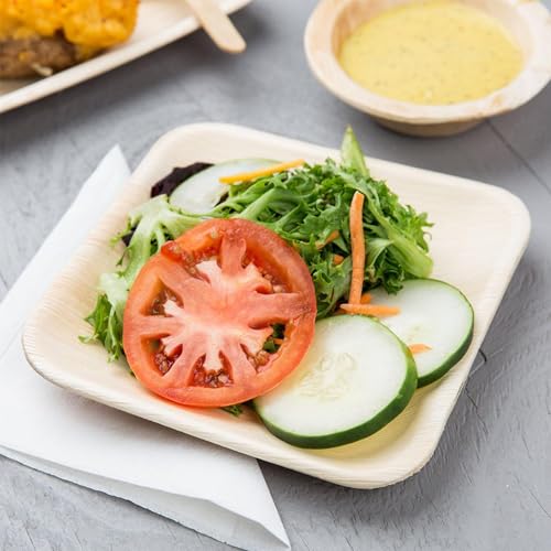 Raj Bamboo Disposable Heavy Duty 6" Square Plates 300 Pack (300 Count)