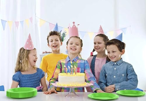 Sturdy Lime Green Plastic Plates 9" Party Plates 100 Pcs (100 Count)
