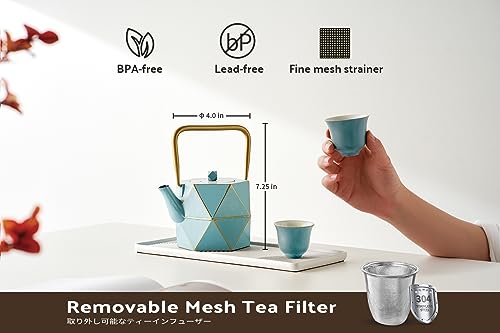 Cast Iron Teapot