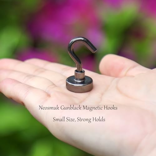 Magnetic Hooks (10 Count)
