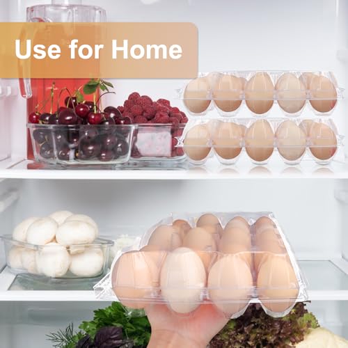 50 Pack Bulk Egg Cartons (50 Count)