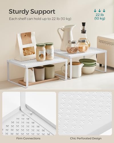 Set of 4 Metal Spice Racks (4 Count)