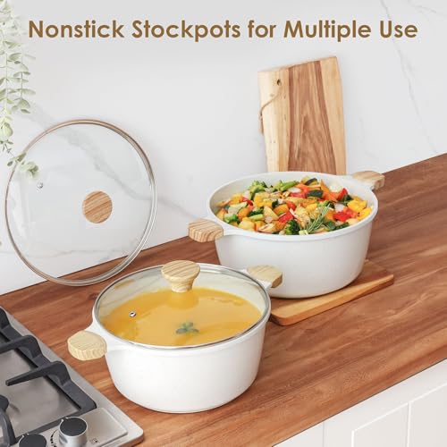 Ceramic Nonstick Stock Pot with Lid