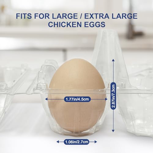 Large 120 Pack Egg Cartons Cheap Bulk (120 Count)
