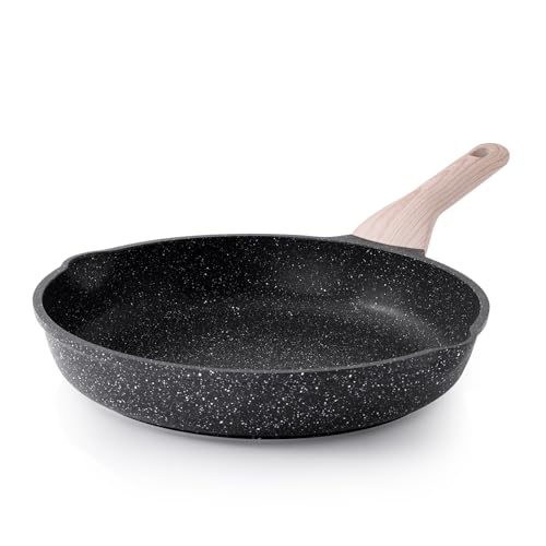 Non Stick Frying Pan Skillet