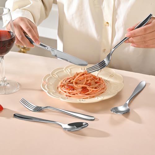 20 Piece Silverware Set (20 Count)