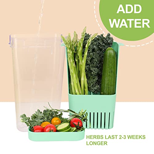 2 Pack Herb Keeper