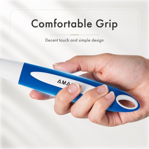 Dish Brush with Handle (2 Count)