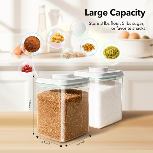 Food Storage Container Set 2.8 Qt ×2 with Lids (2 Count)