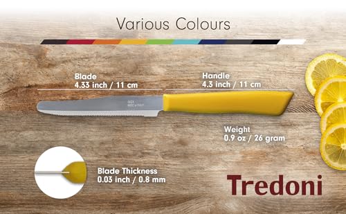 6 kitchen Knives Set (6 Count)