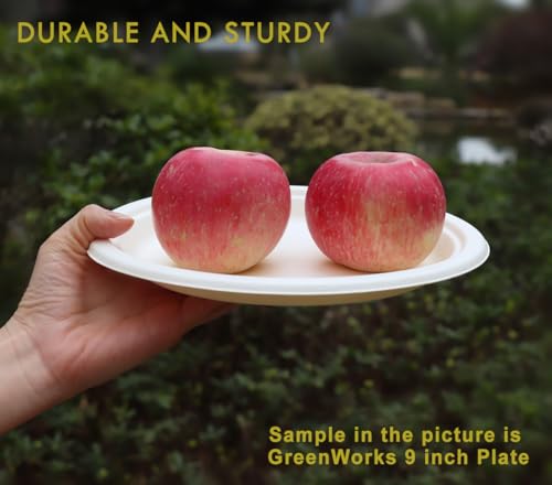 500 Count 6“ Small Compostable Dessert Plates