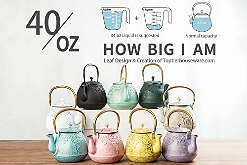 Tea Kettle TOPTIER Japanese Cast Iron Teapot with Stainless Steel Infuser