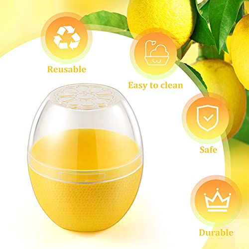 Lemon Storage Containers
