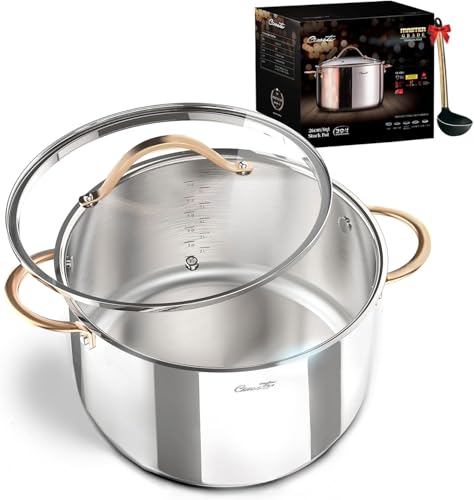 8 Quart Stock Pot