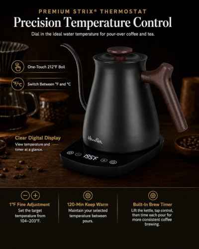 Gooseneck Electric Kettle