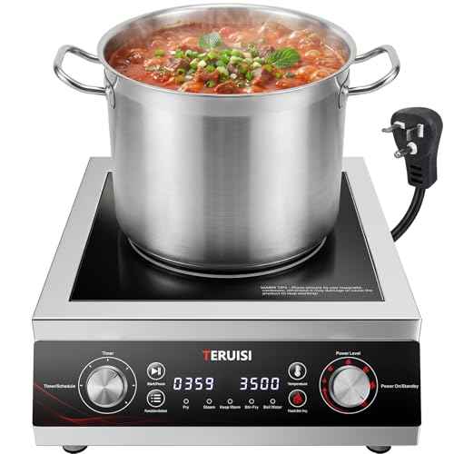 3500W Commercial Induction