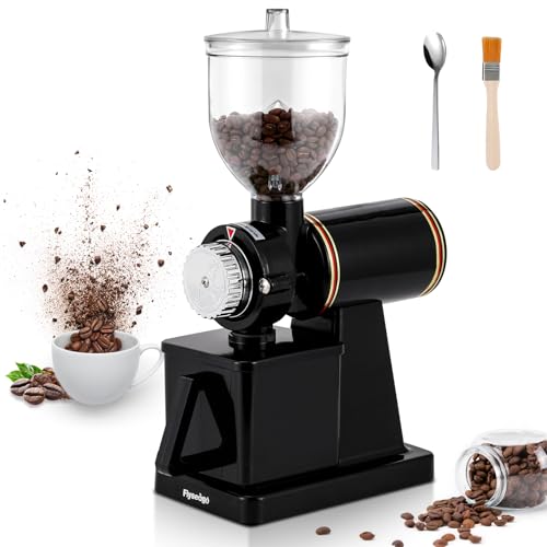 Electric Burr Coffee Grinder