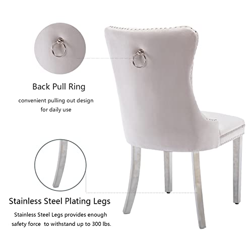 Beige Velvet Dining Chairs Set of 2 (2 Count)