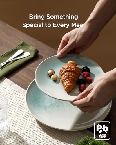 Ceramic Plates and Bowls Sets (12 Count)