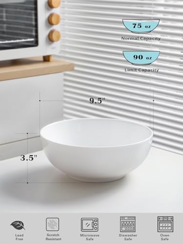 Large Serving Bowls (21.5 Count)