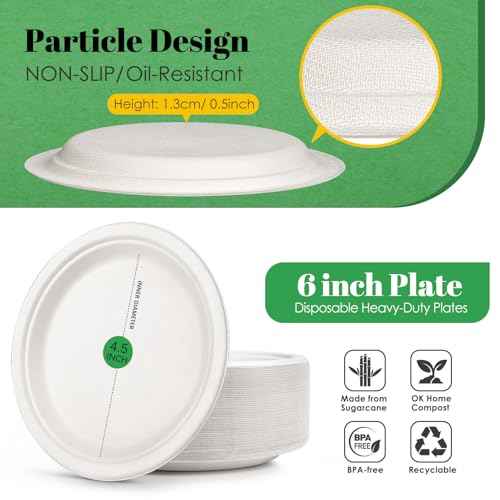 Compostable Small Paper Plates 6 Inch 125 Pack Dessert Plates (125 Count)
