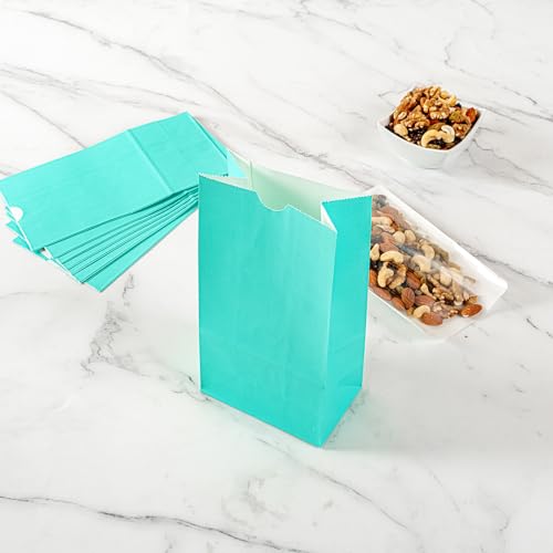 Turquoise Paper Bag (100 Count)