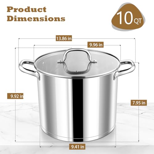 10 QT Stainless Steel Stock Pot with Lid