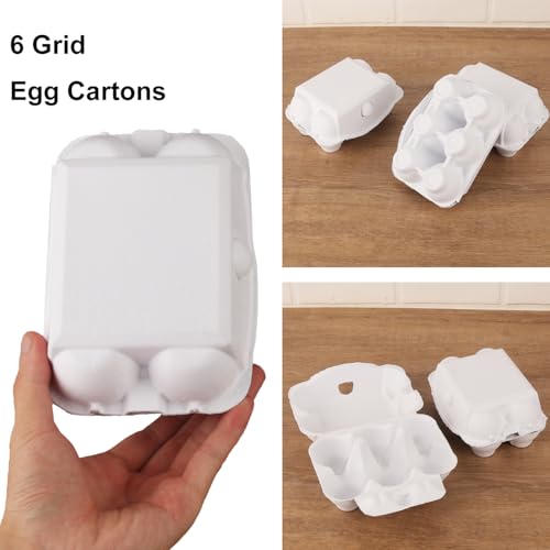 50 Pack Egg Baskets (50 Count)