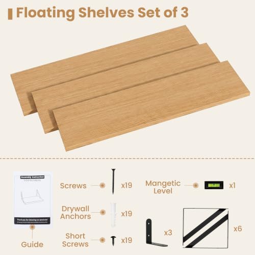 Floating Book Shelves for Wall