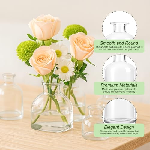 Glass Bud Vase Set of 28 Pcs (28 Count)