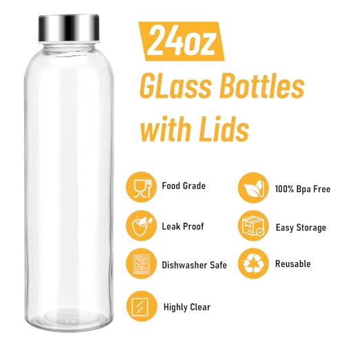 24oz Glass Water Bottle Set of 10 (10 Count)