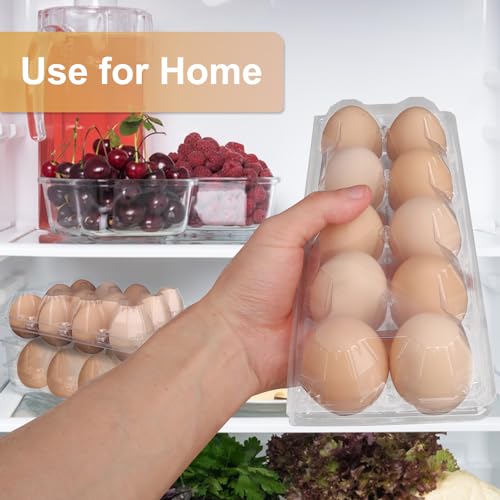 98 Pack Bulk Egg Cartons (98 Count)