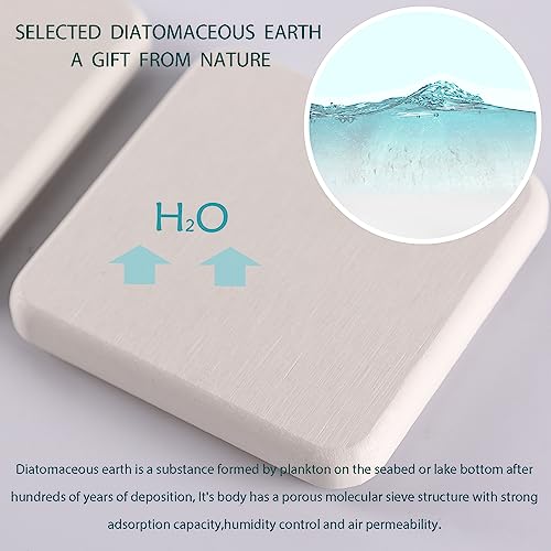 2Pcs Stone Soap Trays Water Absorbing Diatomite Coaster