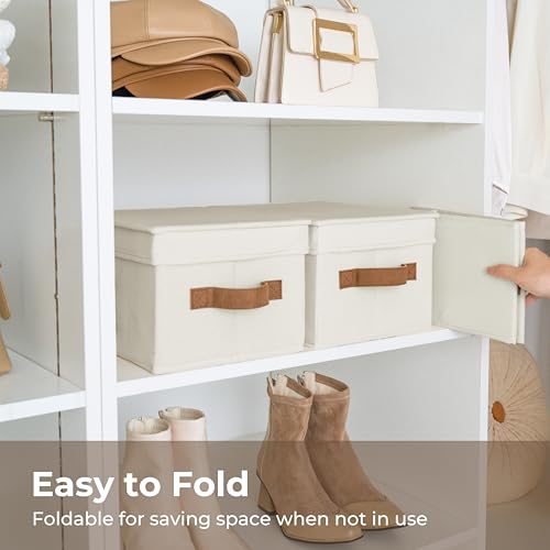 Fabric Storage Bins with Lids (3 Count)