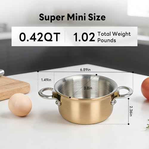 Mini Sauce Pan with Lid