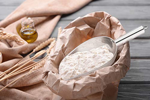 Food Ice Scoop