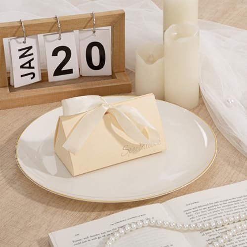 60 PCS Ivory Plastic Plates (60 Count)