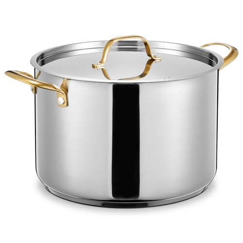 12 QT Stainless Steel Stock Pot