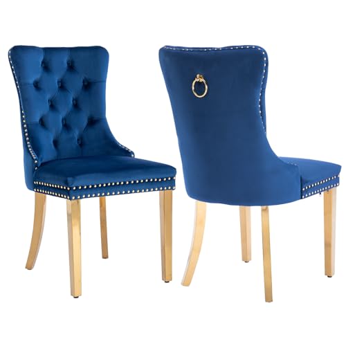 Blue Velvet Dining Chairs Set of 2 (2 Count)