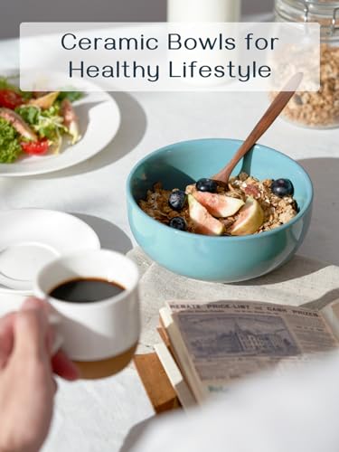 22 OZ Ceramic Soup Bowls & Cereal Bowls (4 Count)