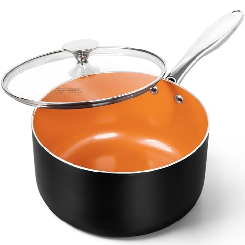 4 Quart Saucepan with Lid