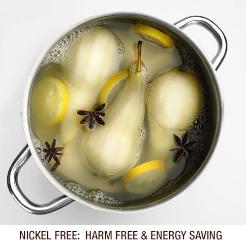 Stock Pot 6 Quart Nickel Free Stainless Steel