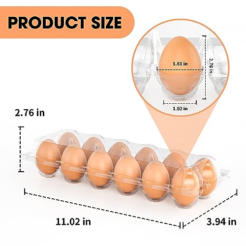 Egg Cartons Cheap Bulk 100 Pack (100 Count)