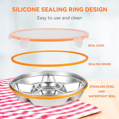 6 Compartment Stainless Steel Serving Tray with Lid